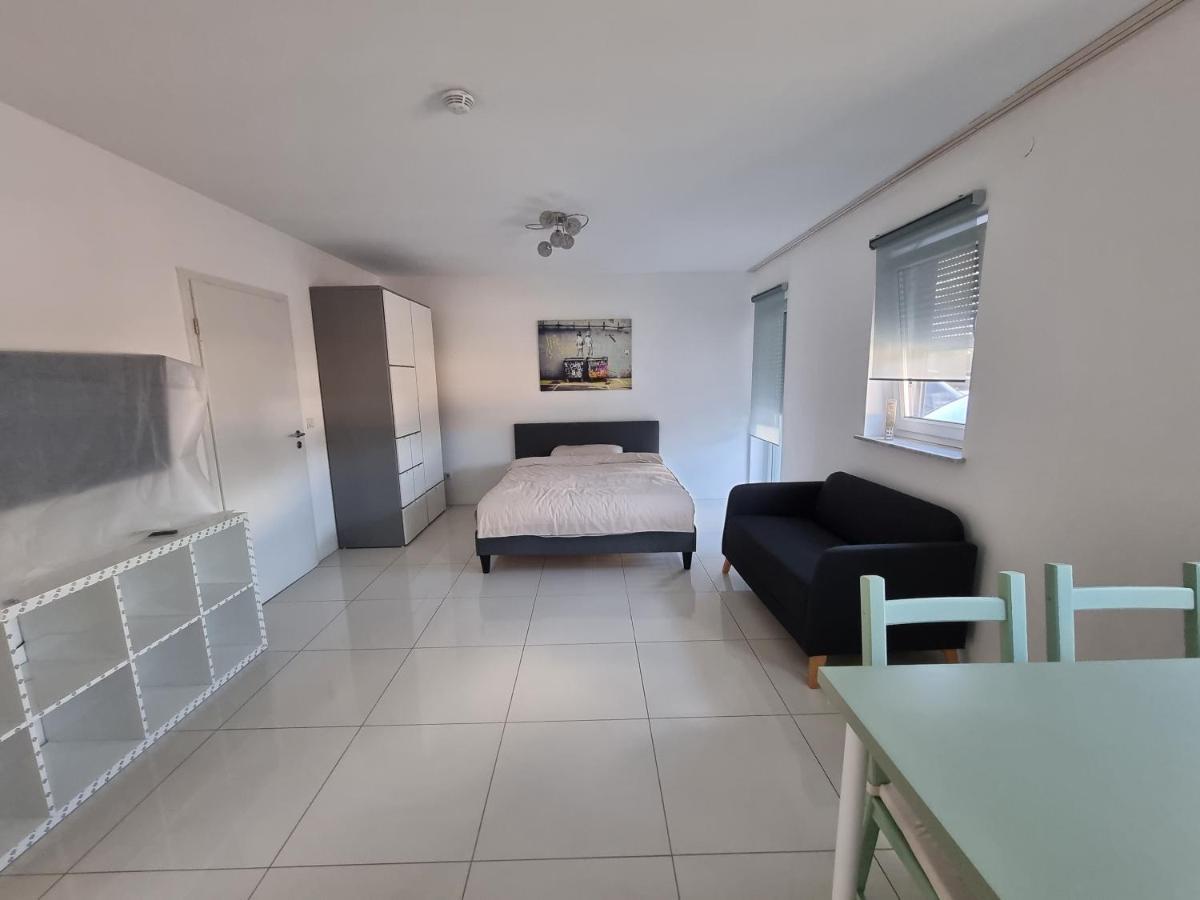 Landau, Schoene Helle Gemuetliche Wohnung Landau in der Pfalz Buitenkant foto